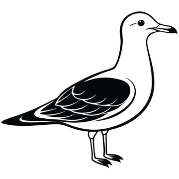 recommend clip art: Seagull Bird Vector Illustration.