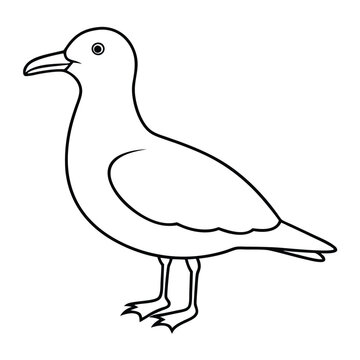 recommend clip art: Seagull Bird Vector Illustration.