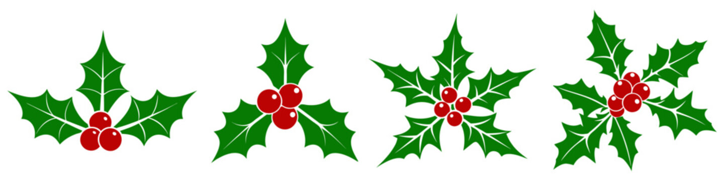 Christmas mistletoe icons set. Cartoon holly leaves and berries. Christmas holly berry leaves. Mistletoe icon. Christmas Holly berry icon. Vector illustration.