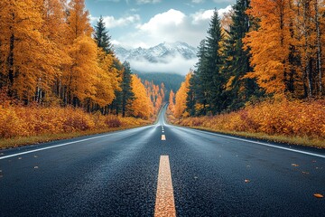 Fototapeta premium A road with a line of trees on either side