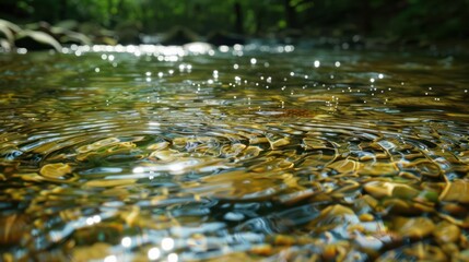 Fototapeta premium Close-up of ripples in a clear stream with sunlight reflecting off the water.