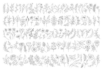 Hand drawn floral elements in line art style. Greenery for decoration, flowers, branches and leaves. Vector set of illustrations for logo, tattoo, wedding invitation, save the date, card