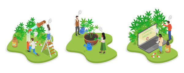 3D Isometric Flat  Illustration of Hemp Products, Weed Plant Cultivation
