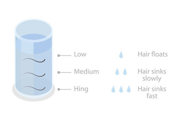 3D Isometric Flat  Illustration of Hair Porosity Test, Level of Obtaining Moisture