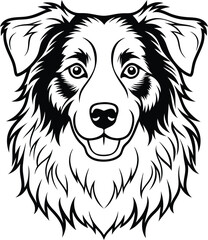 Fototapeta premium Australian Shepherd silhouette, illustration white background