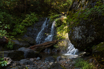 Mount Rainier National Park, Oregon