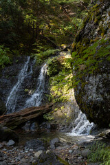 Mount Rainier National Park, Oregon