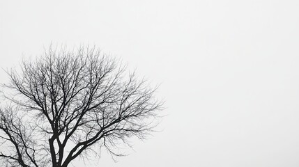 Fototapeta premium Abstract background.