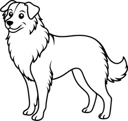 hand-drawn portrait of an Australian Shepherd in engraving style