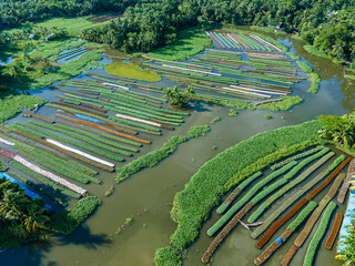 A stunning aerial view of farmers cultivating vegetables on floating gardens in Nazirpur, Pirojpur, Bangladesh, on September 30, 2024.