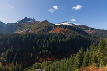 Snow covered peak and fall foliage at Mount Rainier National Park, Oregon