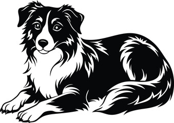 Obraz premium Australian Shepherd silhouette, illustration white background