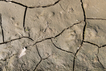 Obraz premium a part of the soil that was covered with cracks from rapid drying