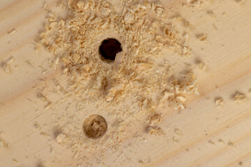 metal drill bit and pine wood board during operation