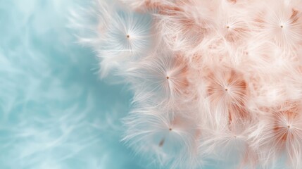 A cluster of delicate dandelion seeds softly resting against a dreamy pastel blue background, evoking a sense of tranquility and gentle elegance.