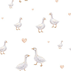 Fototapeta premium Watercolor seamless pattern with goose farm bird and hearts. Tender illustration on a isolated on background. Repeat wallpapers with hand drawn illustration domestic birds.