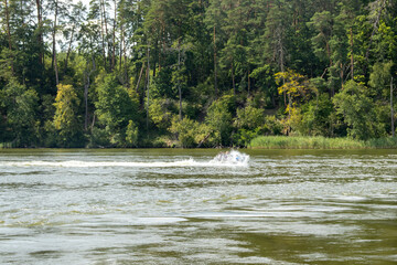 A motorboat creates a splash on the river as it speeds by, surrounded by lush green trees of a dense forest. Scenic summer outdoor activity in nature.