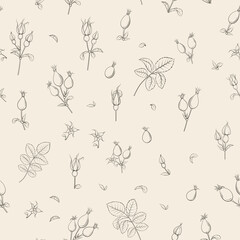 Beige floral pattern with Rose. Botanical rosehip