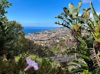 Beautiful view of the city on a summer day. Top view. Funchal. Madeira. Portugal.