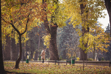 A beautiful view of a park in the city in fall season with the typical colors. Autumn Park. 