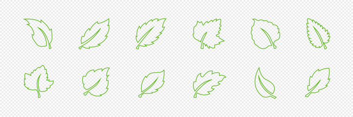 Set of isolated green leaf icons on white background. Abstract natural leaf icons. Elements. Vector illustration.