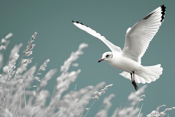 Obraz premium Seagull flying gracefully above soft white grass under pastel green sky, wings spread wide showing feathers in sharp detail, serene and peaceful nature moment captured in flight mid-air.