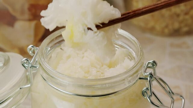 Tremella fermented salted Jamur salju or snow fungus, white colored fungi for food and medicine, popular in China and also Chinese cuisine. 
