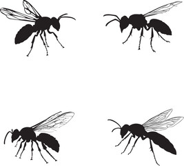 Black Insect vector icons silhouettes