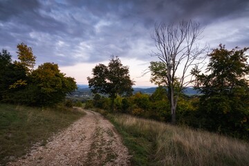Autumn landscape in the evening. Fall scenery with colored trees and leafs. Field road in the middle of autumn forest