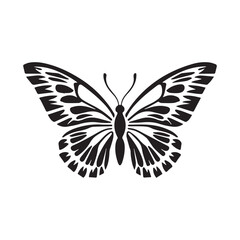 Butterflies vector