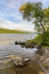 View of the Coniston fells from the east side of Coniston Water on a sunny Summer day.