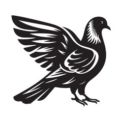 Fototapeta premium pigeon Vector