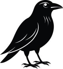 Fototapeta premium Bird silhouette vector art illustration