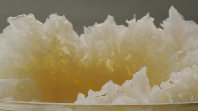 Tremella fermented salted Jamur salju or snow fungus, white colored fungi for food and medicine, popular in China and also Chinese cuisine. 