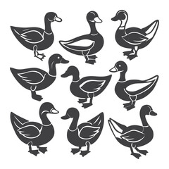 Fototapeta premium Goose line art illustration set ideas