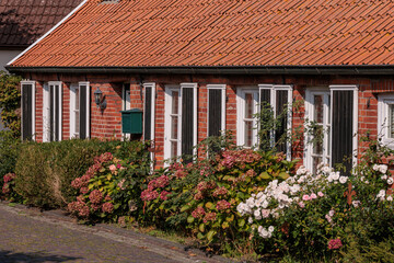 warfendorf in der ostfriesischen Krummhörn