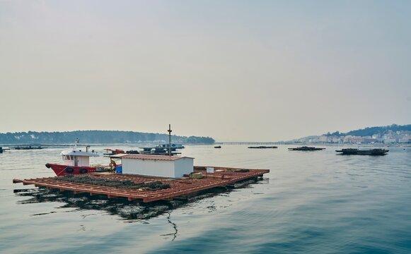 Batea marisquera en la r&iacute;a de Vigo, Galicia