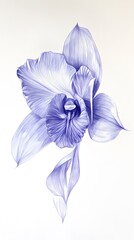 Blue Pencil Hand Painting, Flowers, Poppy, Orchid, Rose, Abstract Image, Texture, Pattern Background, Wallpaper, Cover and Screen of Smartphone, PC, Laptop, 9:16 and 16:9 Format