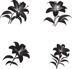 Flowers silhouette isolated on white background