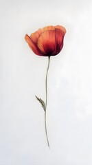 Fototapeta premium Orange Pencil Hand Painting Scribbles, Flowers, Poppy, Orchid, Rose, Abstract Image, Texture, Pattern Background, Wallpaper, Cover and Screen of Smartphone, PC, Laptop, 9:16 and 16:9 Format