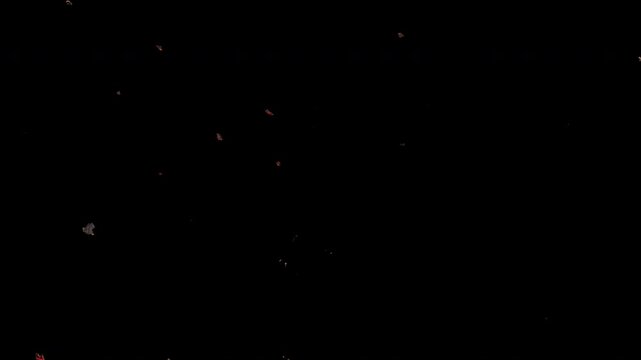 Ashes Drifting Falling Floating Through Air Element Alpha Channel