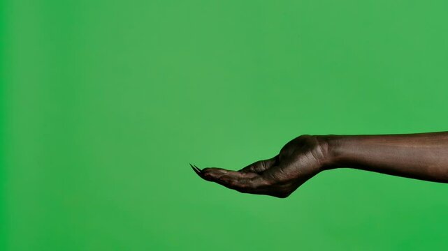 Creepy halloween devil monster hand in black paint with nails shows cupped palm, isolated on chroma key green screen background, workspace mockup.