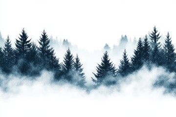 Fototapeta premium Tall evergreen trees rise above a blanket of fog, creating a serene atmosphere in the misty morning light
