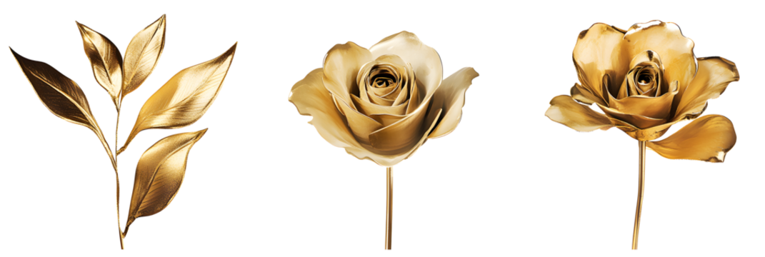 Set gold flower on a white background