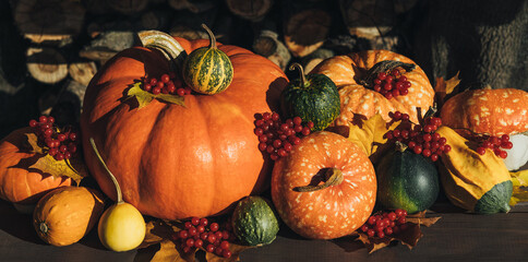 Autumn composition with pumpkins, berries and leaves close up. Beautiful autumn pumpkin background.