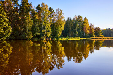 A serene river mirrors the golden hues of trees on a clear autumn day, showcasing nature’s symmetry