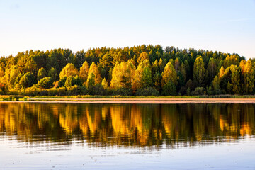 A serene river mirrors the golden hues of trees on a clear autumn day, showcasing nature’s symmetry