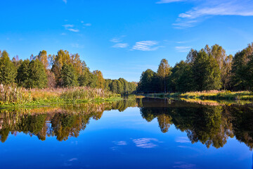 Obraz premium A serene river mirrors the golden hues of trees on a clear autumn day, showcasing nature’s symmetry