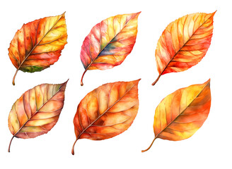 Autumn leaves Watercolor clipart