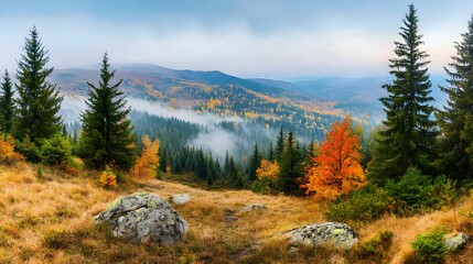 Beautiful mountain landscape with fog in the early morning. Autumn mood.